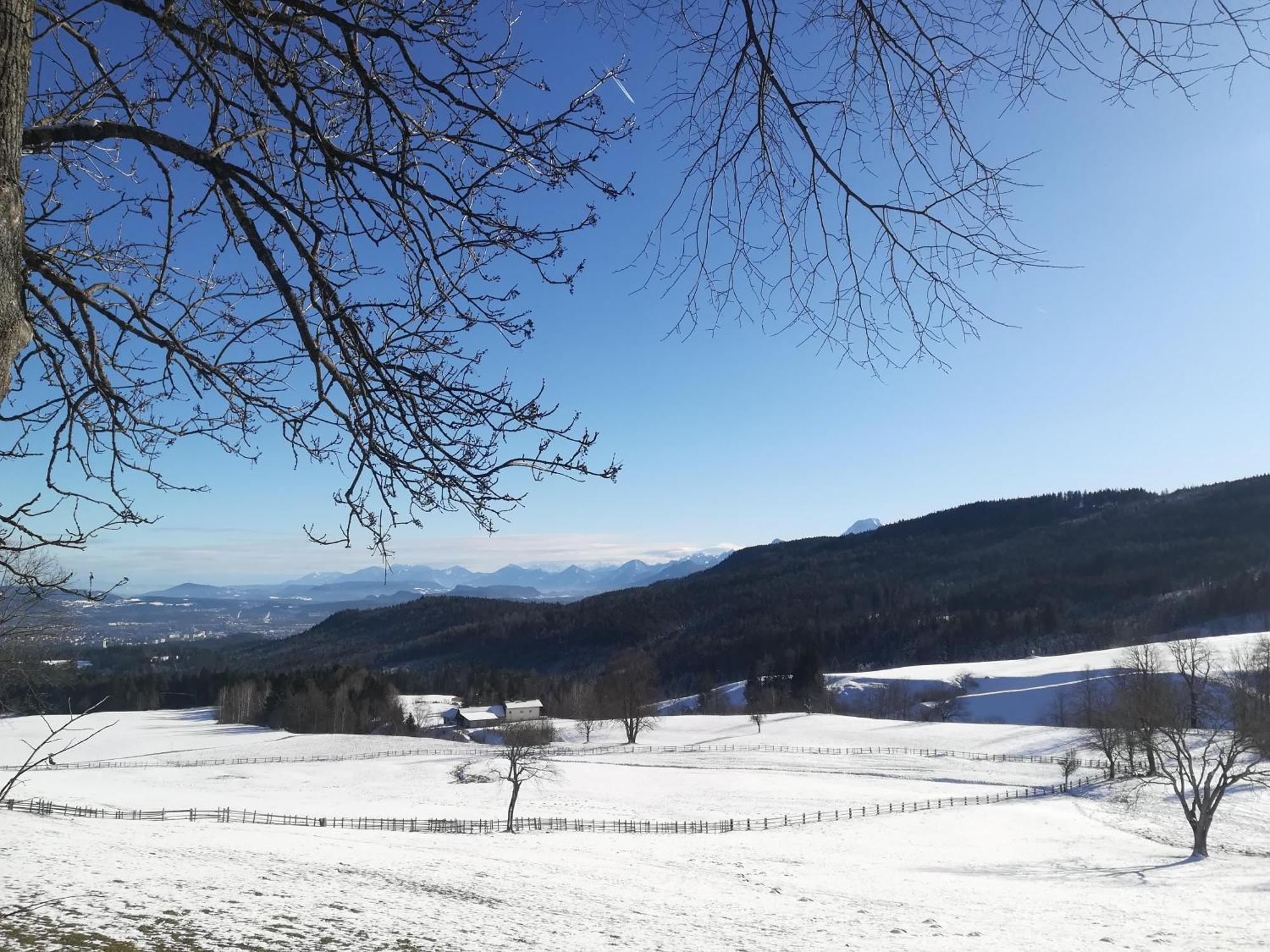 Casableiberg - Garten Apartment - Naturpark Dobratsch Bad Bleiberg Bagian luar foto